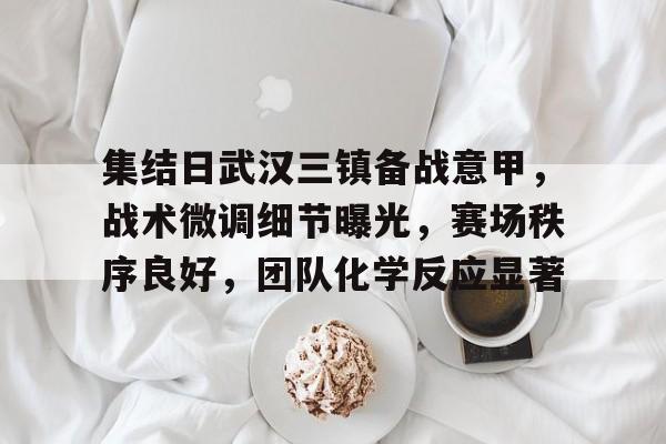 集结日武汉三镇备战意甲，战术微调细节曝光，赛场秩序良好，团队化学反应显著的简单介绍-亚博娱乐